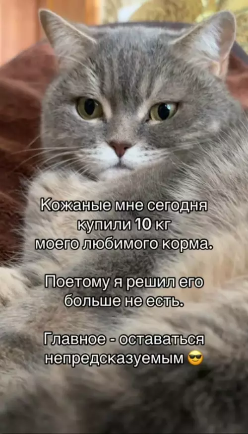 Картинки для деградации 135 (разной степени свежести)