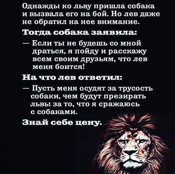 Прикольные и просто красивые картинки 13.03.2026