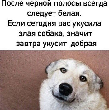 Так себе картинки 04.07.26