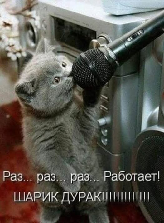 Песенки про чуму и др.