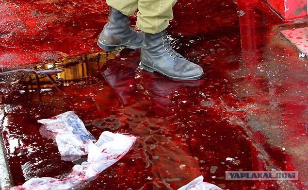 Жуткие природные явления планеты