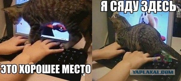 Приколы и маразмы 2