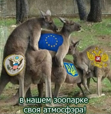 Немцы берут интервью у сочувствующей Евромайдану