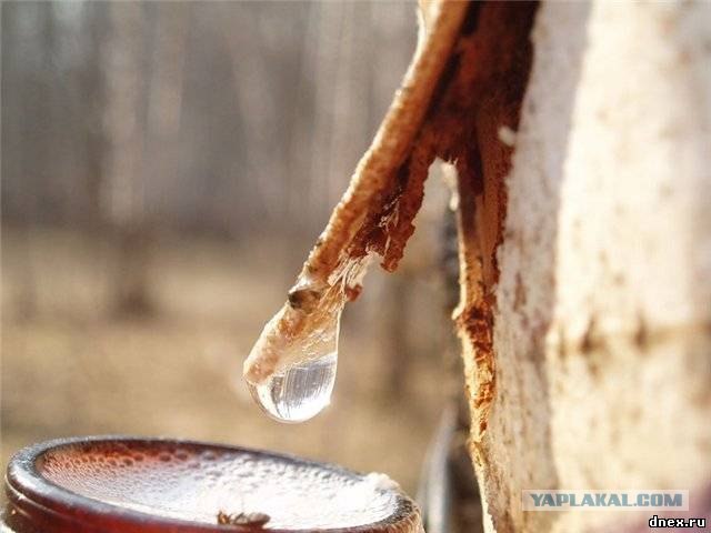 Вещи, которых никогда не будет на западе