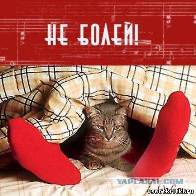 Чёрт, чёрт, чёрт!