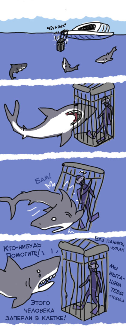 Запераю или запираю. Акула прикол. Комиксы про акул. Шутки про акул. Мемы про акул.