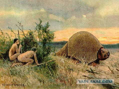 Пост ради Юки.