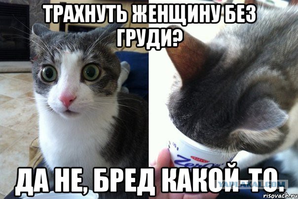 Крик души, когда "СИСЕГ НЕТ"