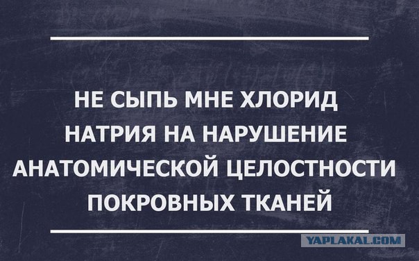Весёлые картинки