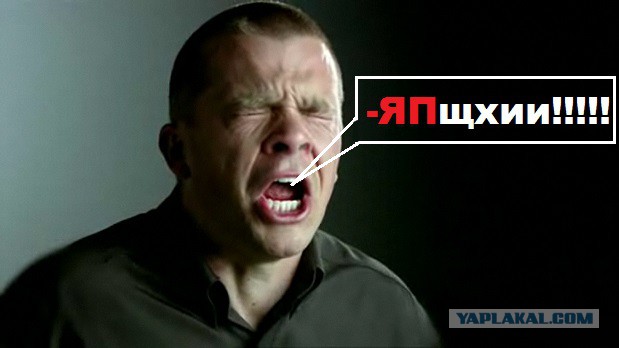 ЯП везде!