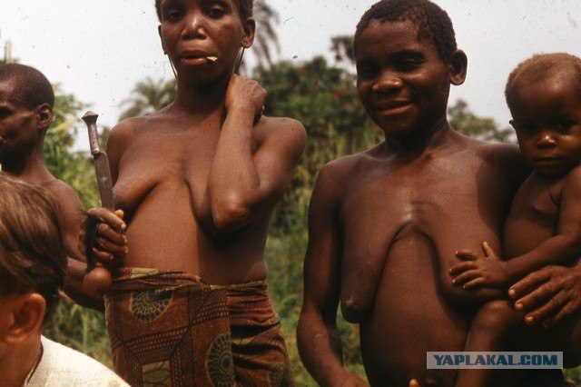 Сиськи в Африке. Этнографическое исследование