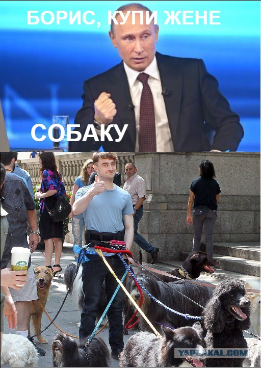 «Прямая линия» с Владимиром Путиным