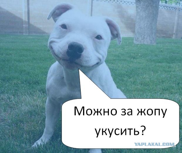 Милость этих фото зашкаливает