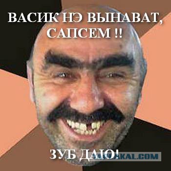 Новые обвинения Васильевой