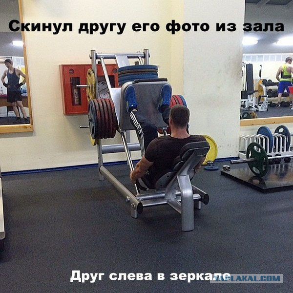 Картинки про тренировку прикольные