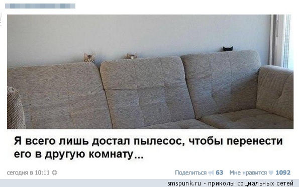 Смешные комментарии из социальных сетей