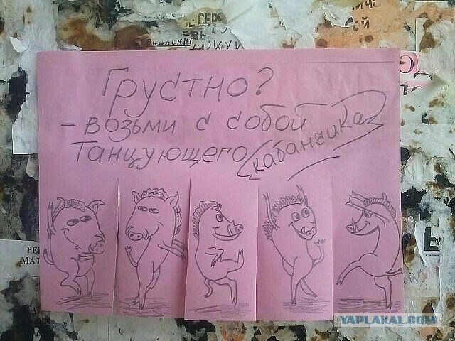 Прикольные объявления и надписи