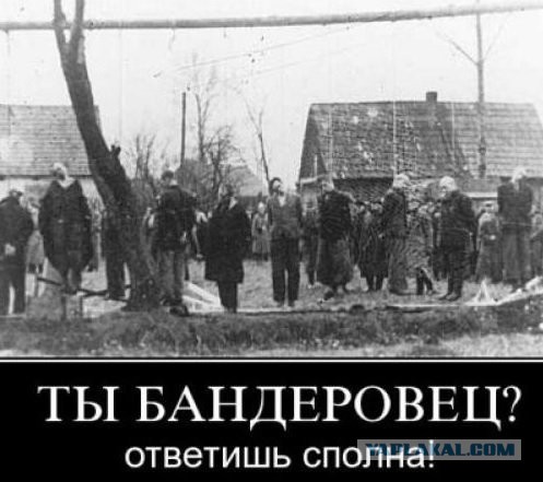 Вчерашний пи..ц , произошедший на Украине