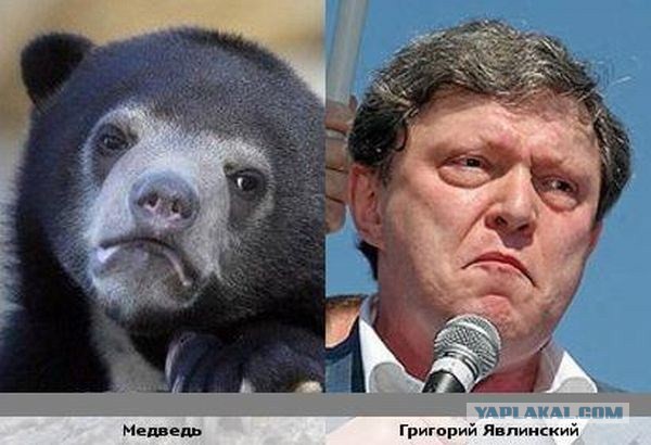 Бывают в жизни совпадения