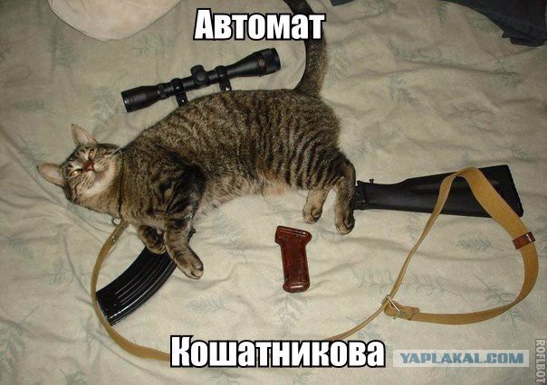 Картинки на пятницу