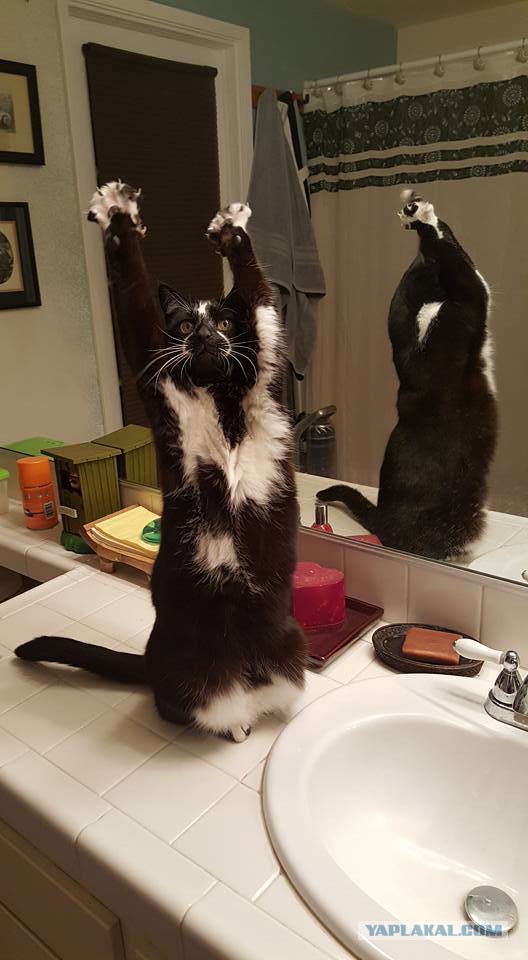 Понедельника картинки