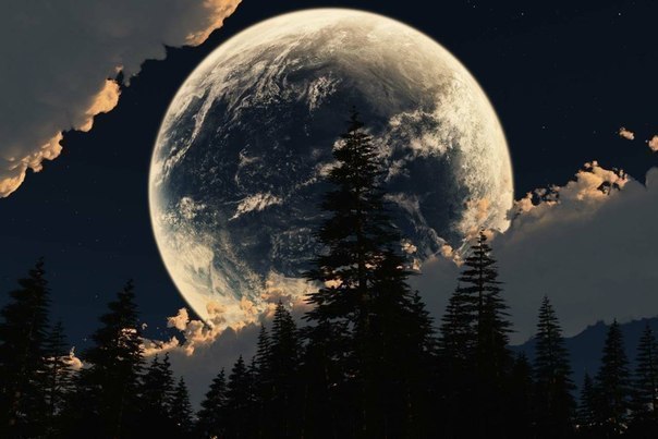 Моменты, запечатлённые на фото и просто позитив 5