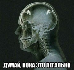 Американцы никогда не летали на Луну!