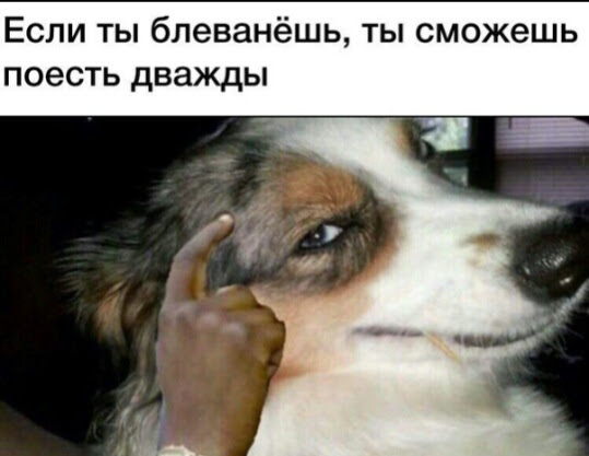 Подборка интересных и веселых картинок