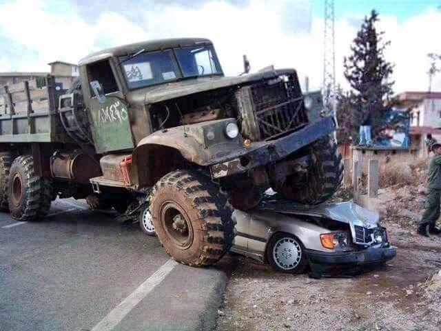 Подборка безудержного веселья