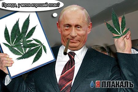 План Путина