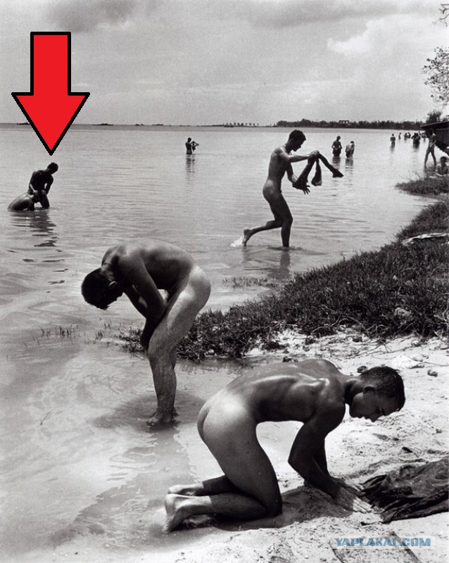 Интересные и редкие ретро-фотографии
