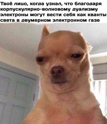 Немного юмора, умного