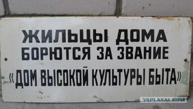 В Красноярске установили антивандальную сетку на городскую клумбу
