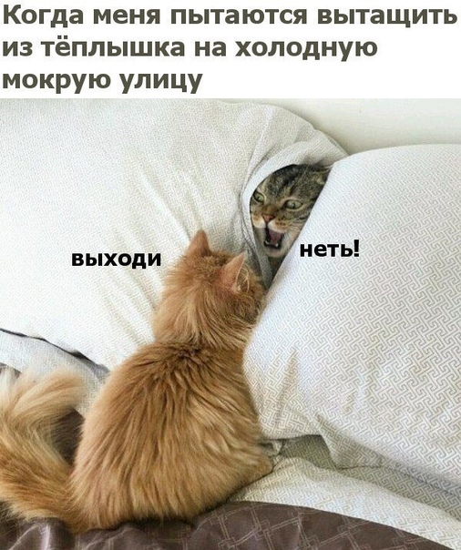 Разные и без темы