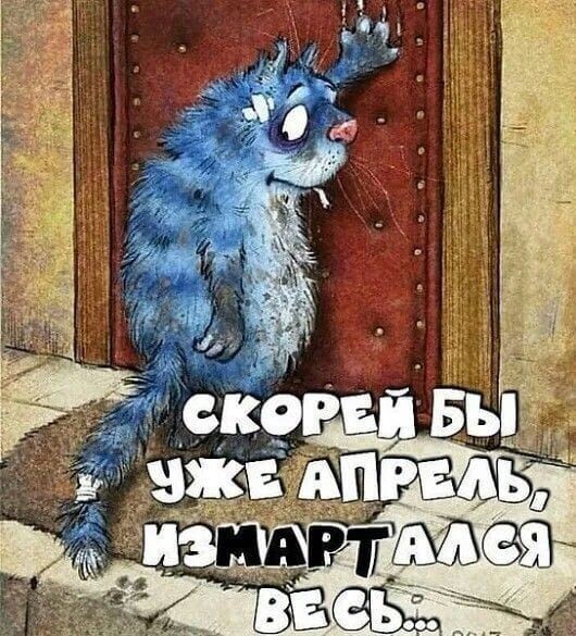 Бредзона 07.03.20