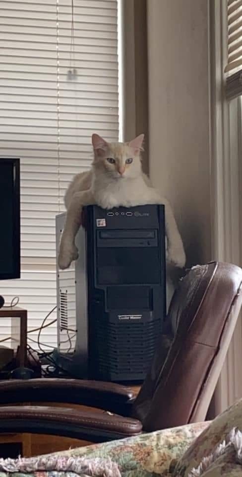 Котофеев пост