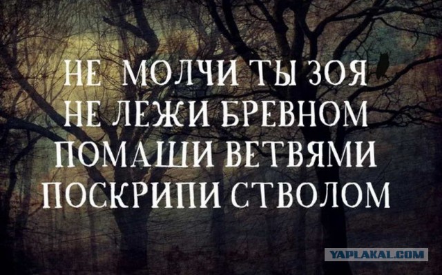 С нами будет жить Лиза