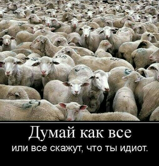 Очередной масочный конфликт