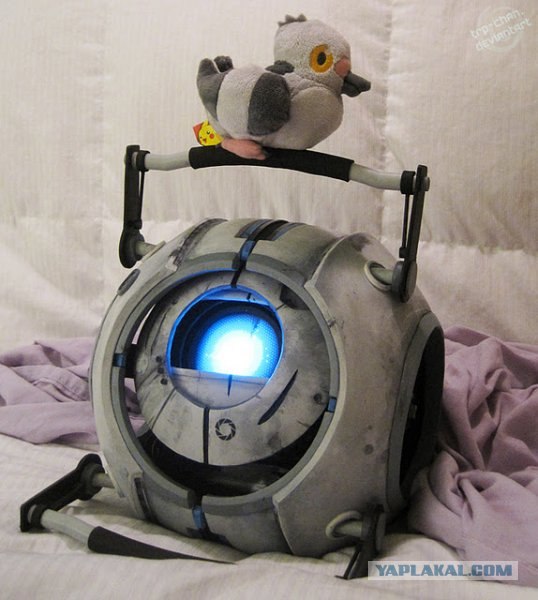 Фотографу пересадили вместо глаза камеру