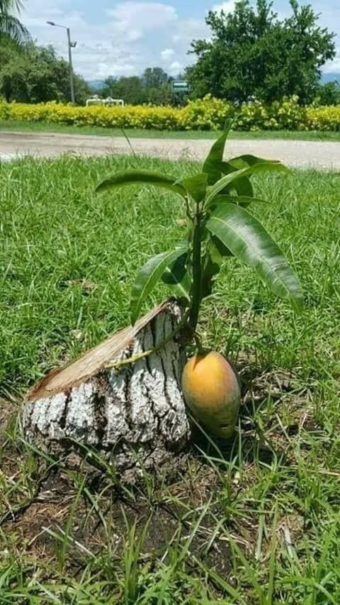 Тут что-то не так