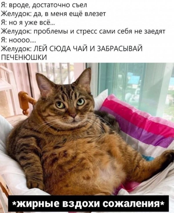 Картинки и мемы для настроения 08.06.2021