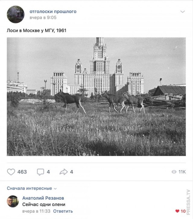 15940969.jpg
