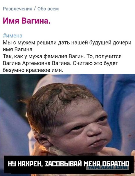 Весёлый полтишок 11.11
