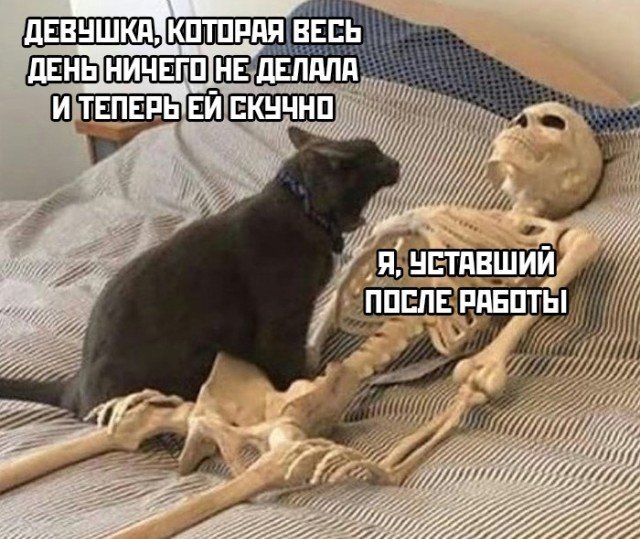 Картинки на разную тематику