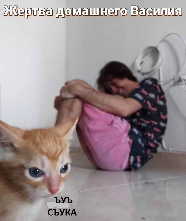 Вот она, циничная жестокость