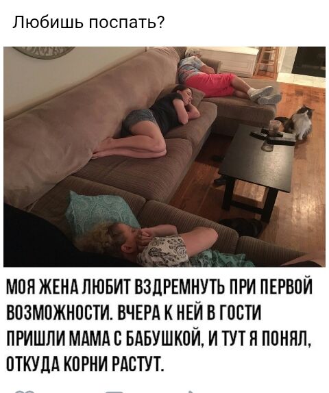 Весёлый полтишок 26.12.2022
