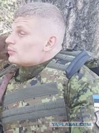 Пограничник насторожился: из кустов вышел лось и попросил о помощи