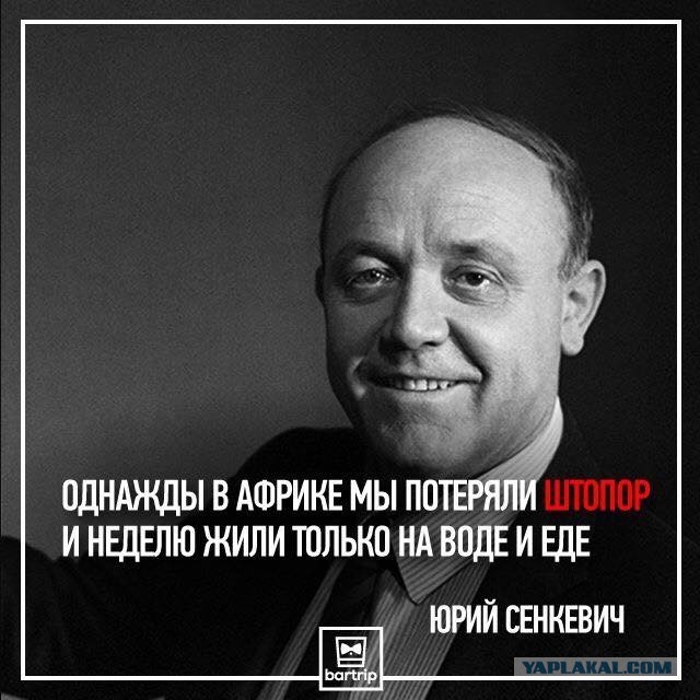 Околоалкогольная подборка