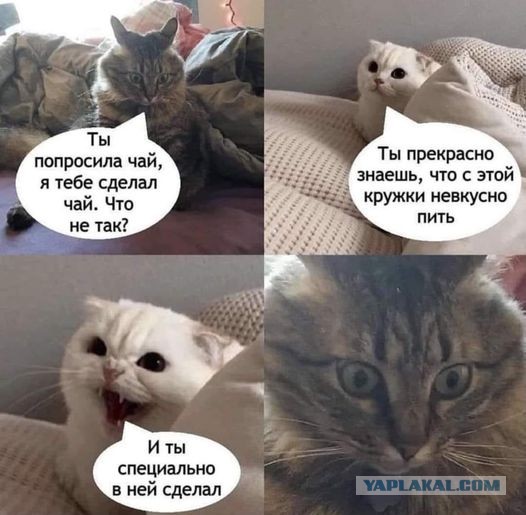 Завалялось тут случайно немного забавных картинок