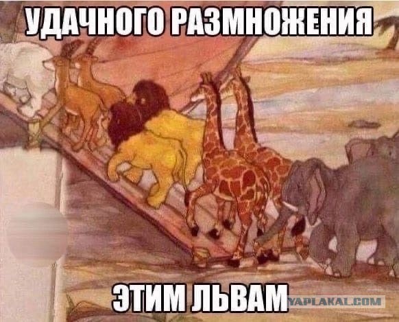 Так себе картинки 27.10.24